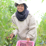 suhartini a woman from bengkulu raising awareness on srhr and economic empowerment in her village 2 1